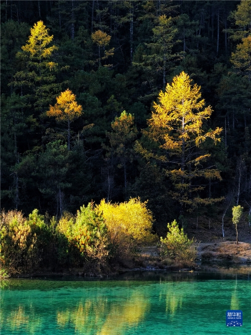 1310316631_16371415061071n 1310316631_16371415061071n