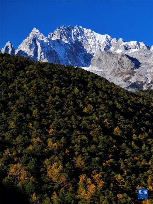 1310316631_16371415063351n 1310316631_16371415063351n