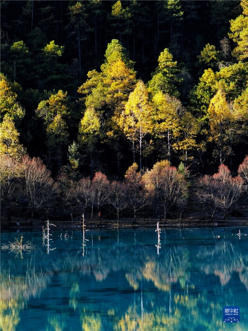 1310316631_16371415065511n 1310316631_16371415065511n