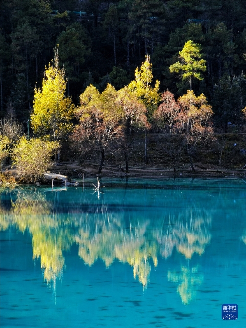 1310316631_16371415070021n 1310316631_16371415070021n