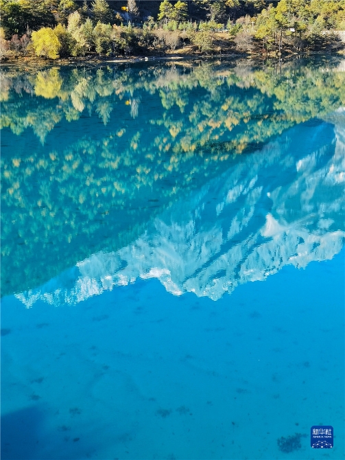 1310316631_16371415068011n 1310316631_16371415068011n