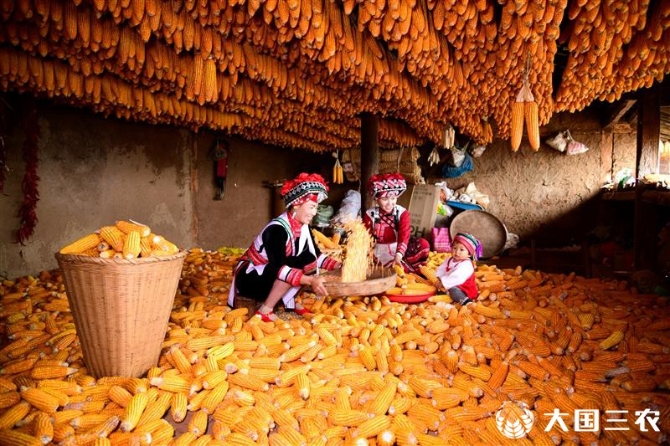 20211116095611845885 20211116095611845885