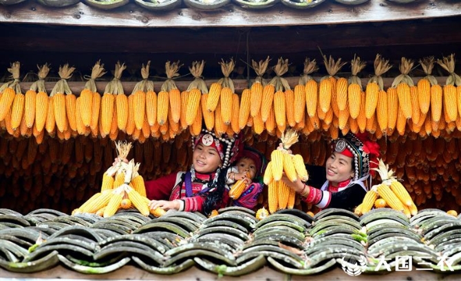 20211116095612982619 20211116095612982619