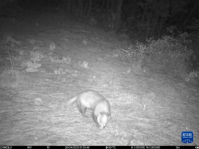 1310316236_16371290971891n 1310316236_16371290971891n