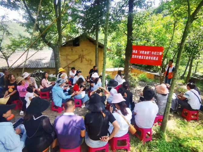 84ec79cb-18f8-4977-8d55-5ebe578258e4 84ec79cb-18f8-4977-8d55-5ebe578258e4