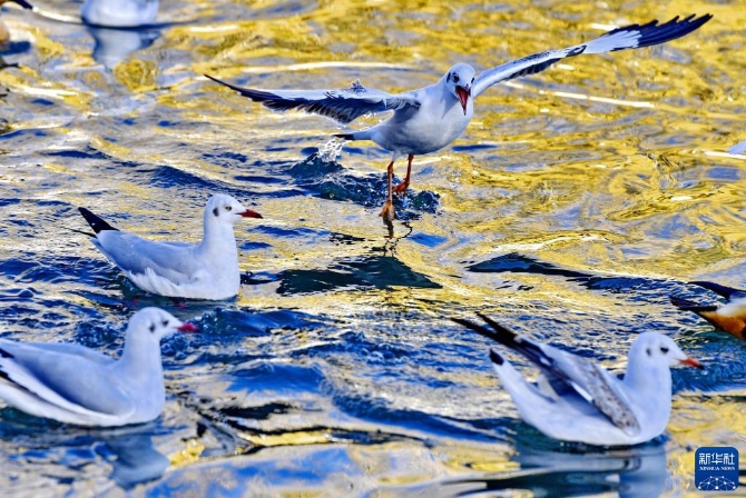 f44d30758ab022fffeb539 f44d30758ab022fffeb539