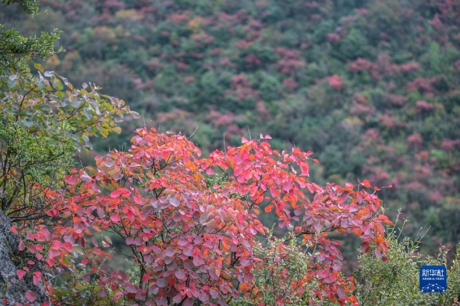 f44d30758ab022fffc1a2c f44d30758ab022fffc1a2c