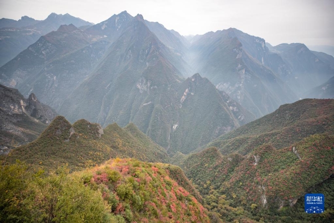 f44d30758ab022fffd8259 f44d30758ab022fffd8259