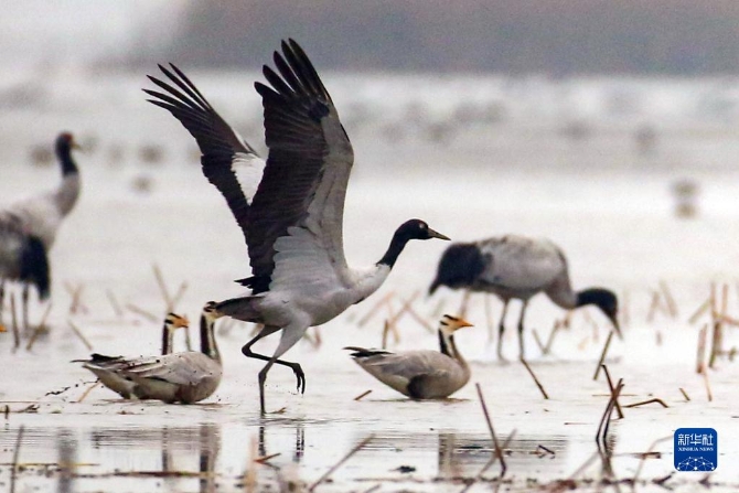 f44d30758ab022fffc3c32 f44d30758ab022fffc3c32