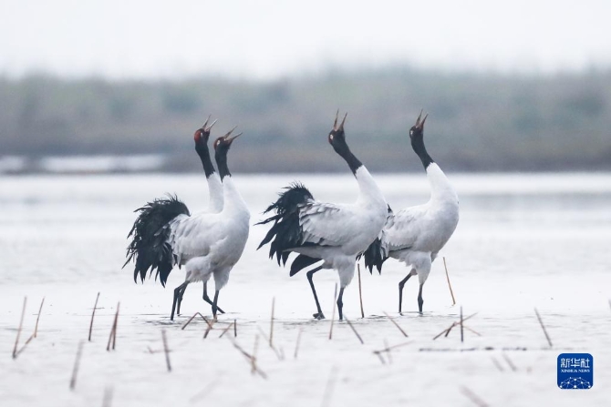 f44d30758ab022fffce239 f44d30758ab022fffce239