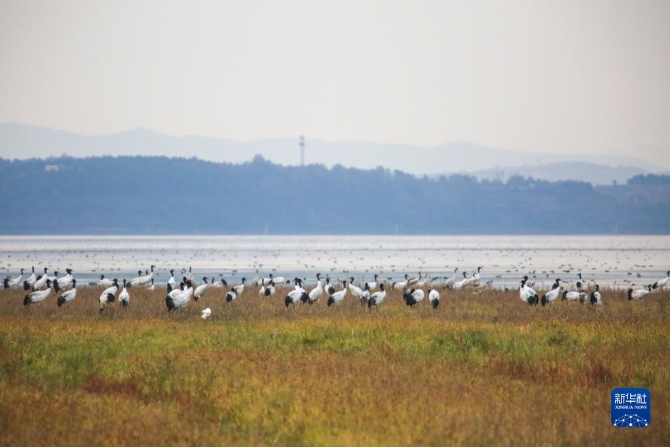 f44d30758ab022fffce33b f44d30758ab022fffce33b