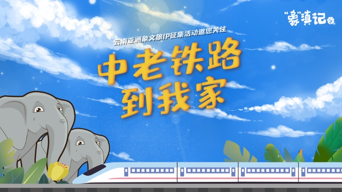 1310319930_16372846048411n 1310319930_16372846048411n