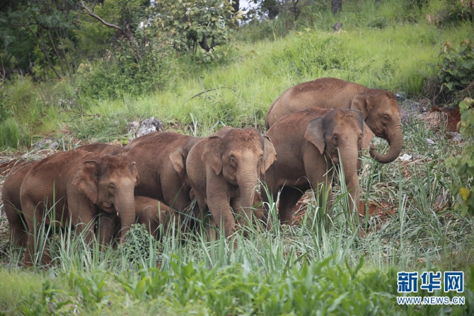 1310319930_16372845986481n 1310319930_16372845986481n