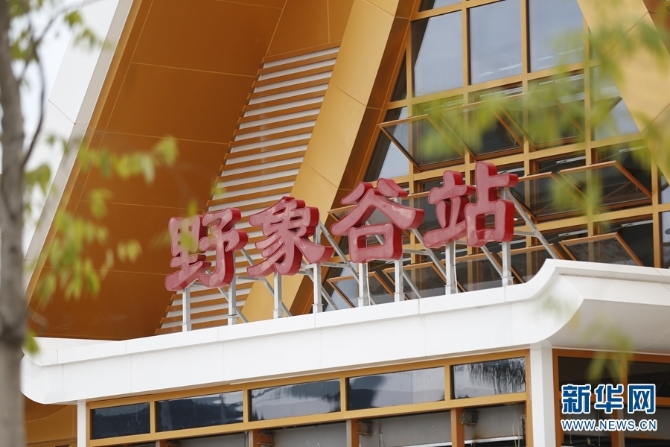 1310319930_16372845988191n 1310319930_16372845988191n