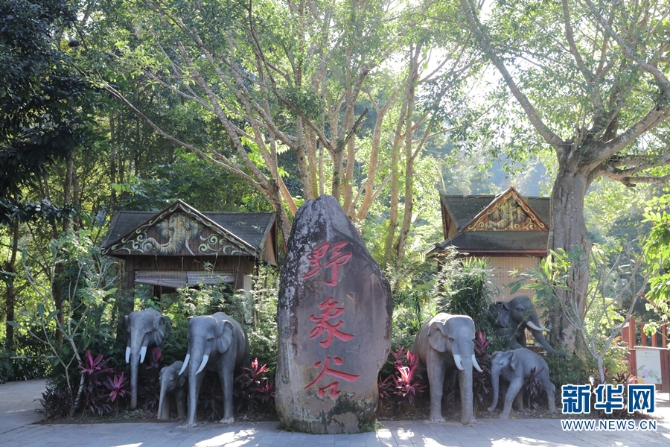 1310319930_16372845988891n 1310319930_16372845988891n