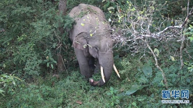 1310319930_16372845992211n 1310319930_16372845992211n