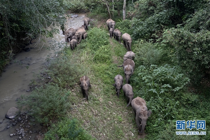 1310319930_16372845994371n 1310319930_16372845994371n