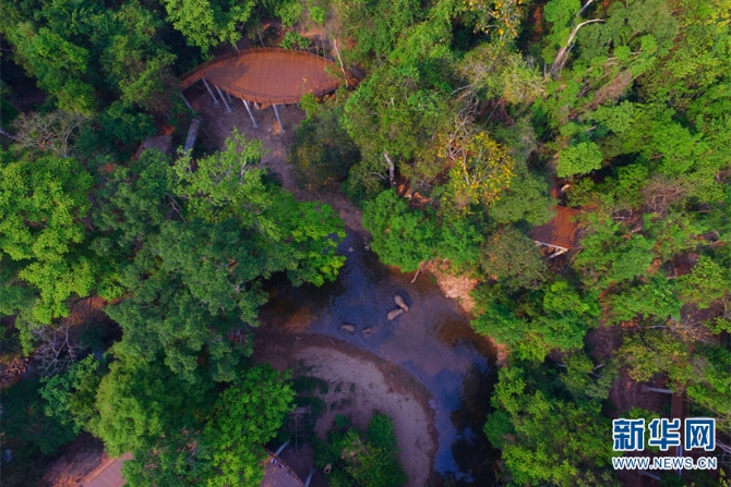 1310319930_16372845995641n 1310319930_16372845995641n