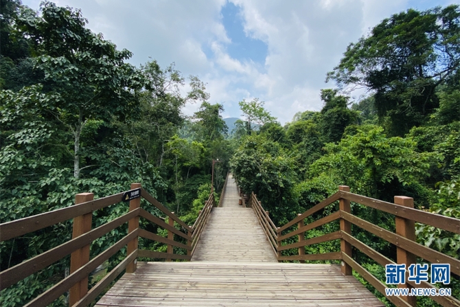 1310319930_16372845997011n 1310319930_16372845997011n