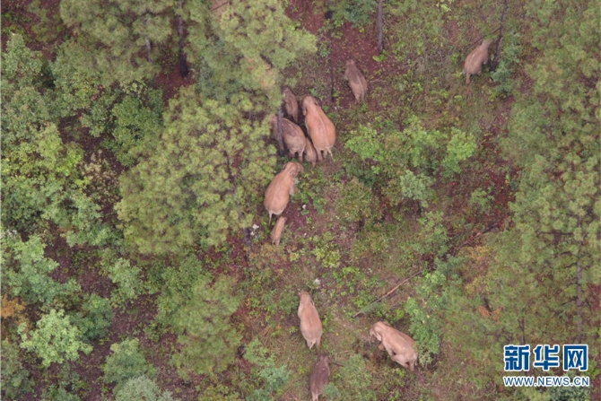 1310319930_16372845998261n 1310319930_16372845998261n