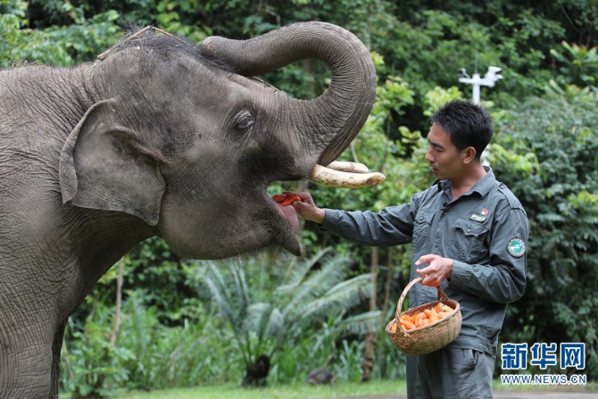 1310319930_16372846001721n 1310319930_16372846001721n