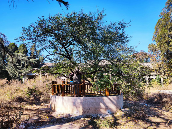 微信图片_20211119185047 微信图片_20211119185047