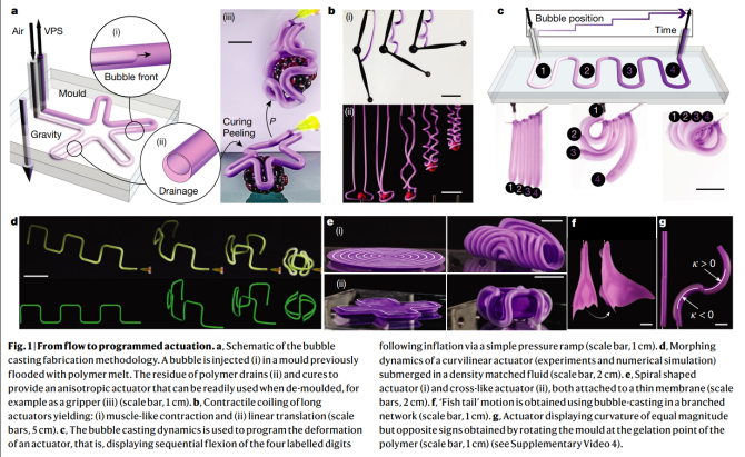 4869a4eaf9e84422bafc623b5a97c50c.png 4869a4eaf9e84422bafc623b5a97c50c.png