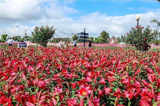 W020211123362108500657 W020211123362108500657