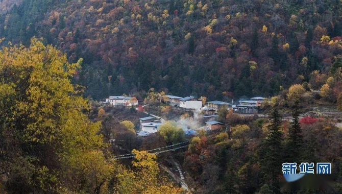 d4c442c7319e4ac69fd3eb18b747d1ad