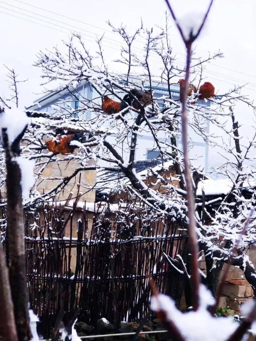 0d1ae7ef6abf4090a7e6be7f5c67366c