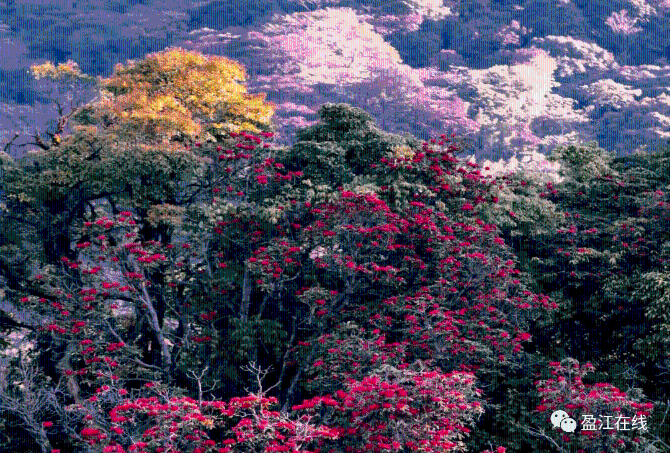 5d20664cc0734457832ab16e89d05356