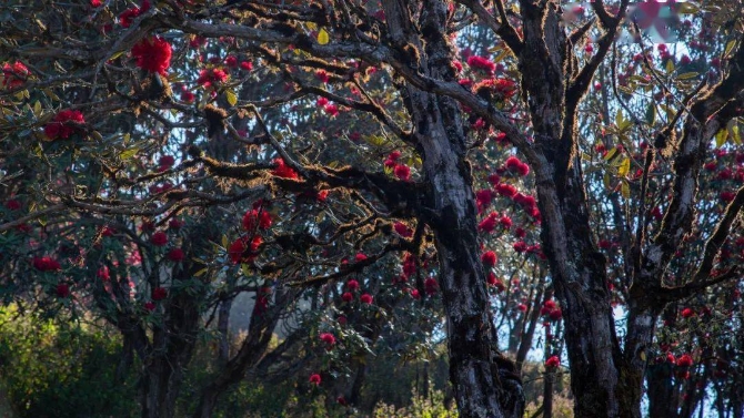 086e96c127f045a1911afba15ef8d7e2