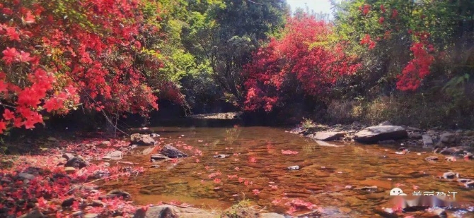 061d558eca1f4e8ab9293594d27437c9