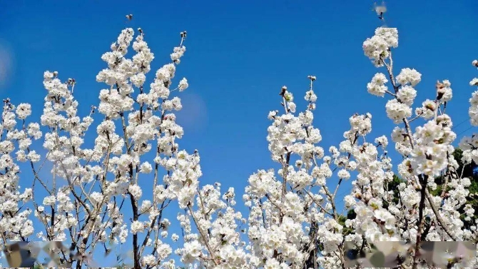 abbe29de16ba4f89b89e0b98928daa65