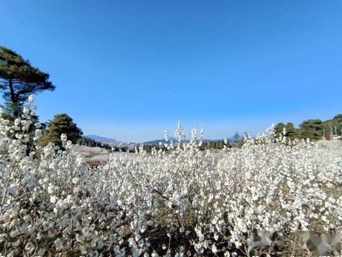 ca7e36e6285743199f5eba45e444cbae