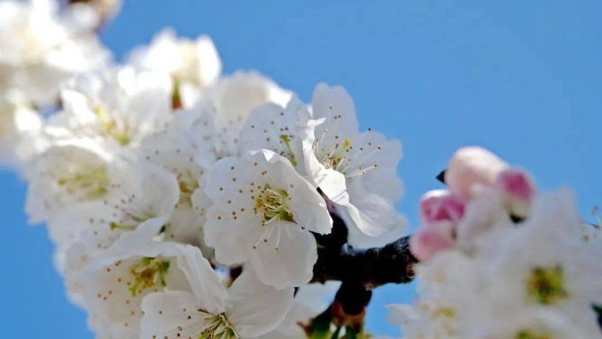 e37a78945ef548ce876ff6aaa38bc57e