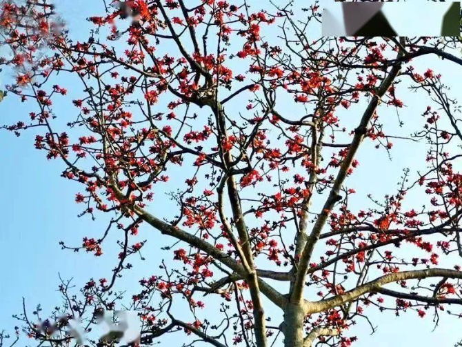 87b7fa5d1ff442e2886a2741e737e8b3