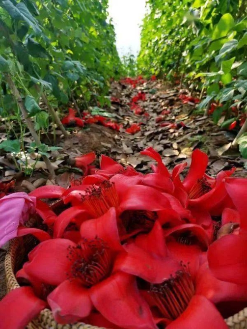 ed9b48b1323e403f99f5817be645040b