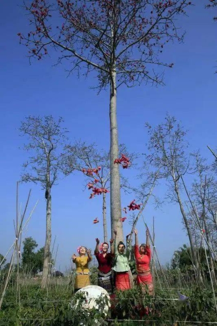 058d278d4ee14646a83d032a5f05d1e5