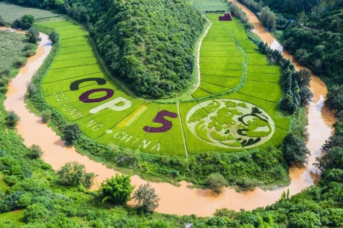 ce21adcbef3448c8a3be2c8b9de0c991