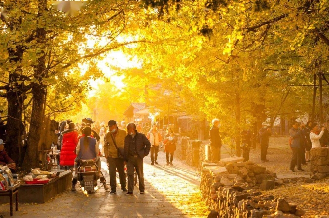 cac8fed2193a4f7a845bea9fc064d3bc