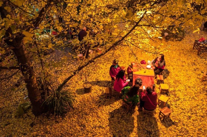 a01ee417dfbd4dceb6e01665750ab6af