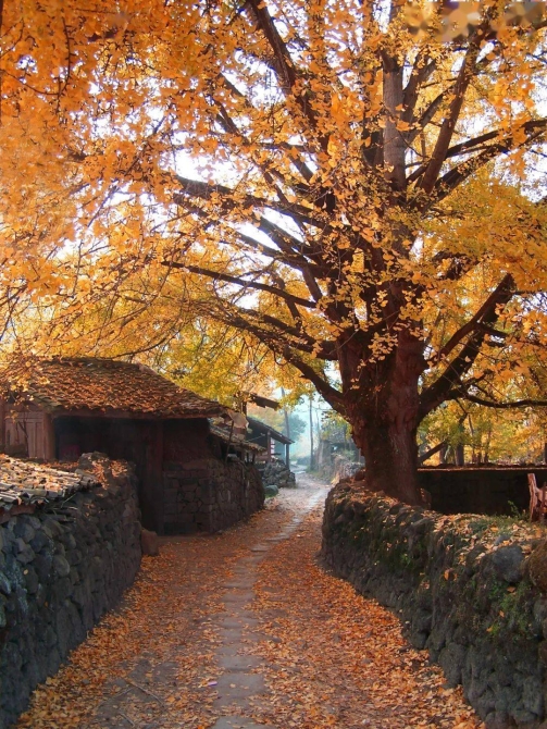 2288839dd97a4851a7c78c58e96e211c