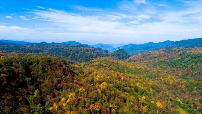 49e316f8e05547e3872a04545caee556