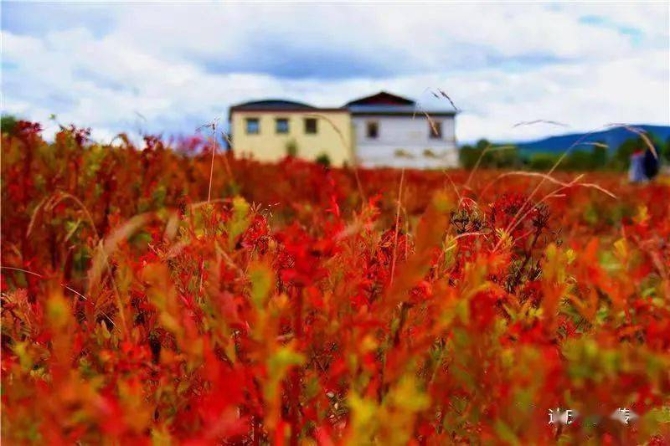 a8cb6a23b16f4f55b47ba646369bdb23