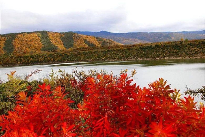 895c0bf51c1c405892813a8335f79c87