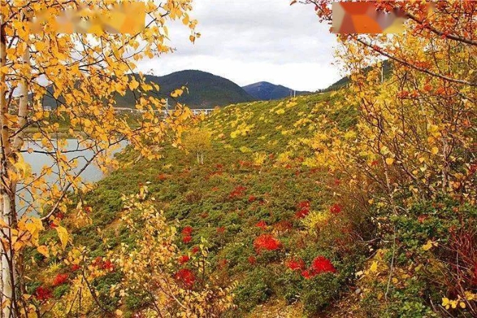 fa0e58000e5f4d199474140fcb7382f1