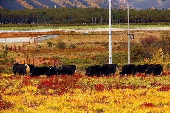 b03258bd9a0345be9443180ecbf2d5b6