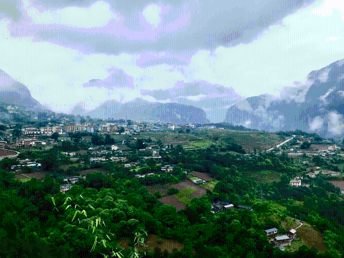 cf49048c75c64db18ba99f2e29cc038a