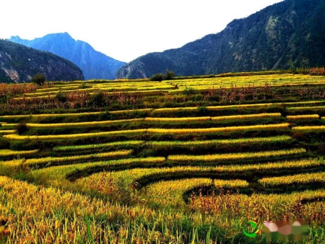 b96db0defcf5420fa8f3478e1740414d